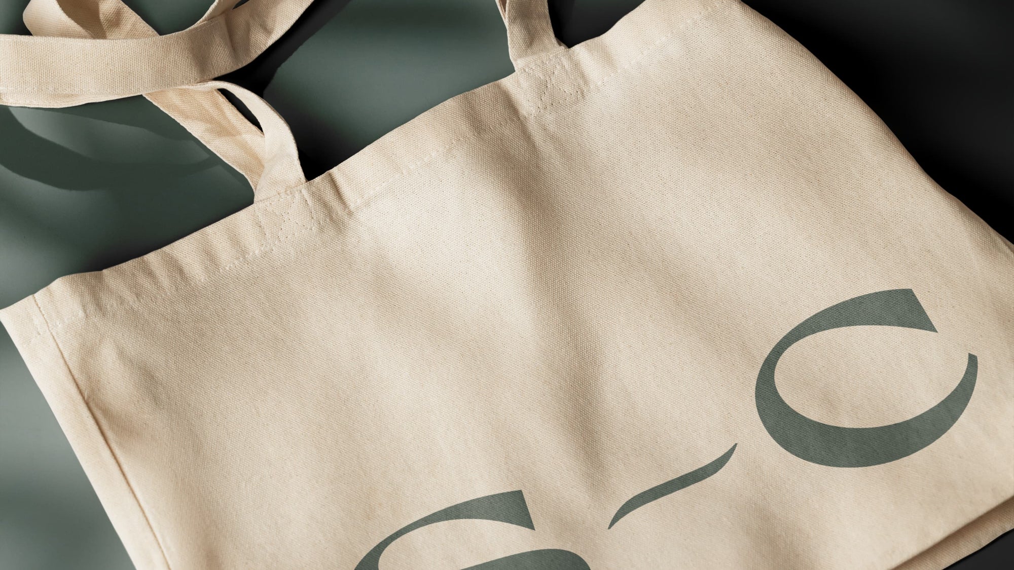 Un sac avec le logo de sacha 