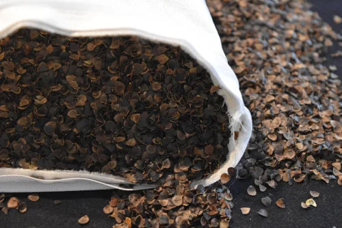 Écailles de sarrasin biologique débordant d'un sac en tissu, matière de rembourrage du traversin
